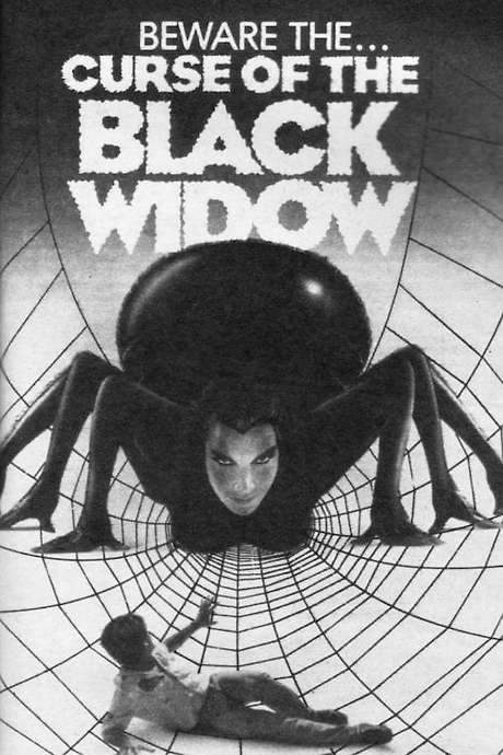 Curse of the Black Widow